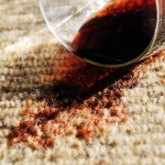red wine spilled on wool carpet