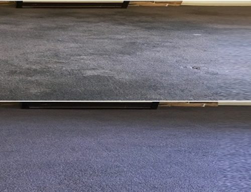 Steam Clean Or Dry Clean – What’s Best For Your Carpet?