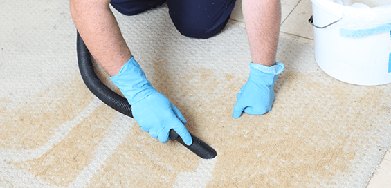 dry-carpet-cleaning