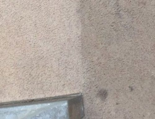 Do I Need to Steam Clean The Carpets When The Lease Ends?