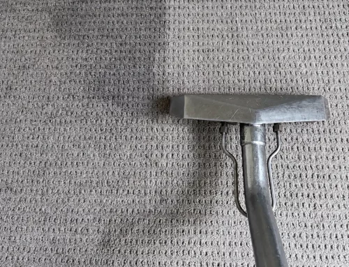 Why Do Carpet Stains Reappear After Cleaning?