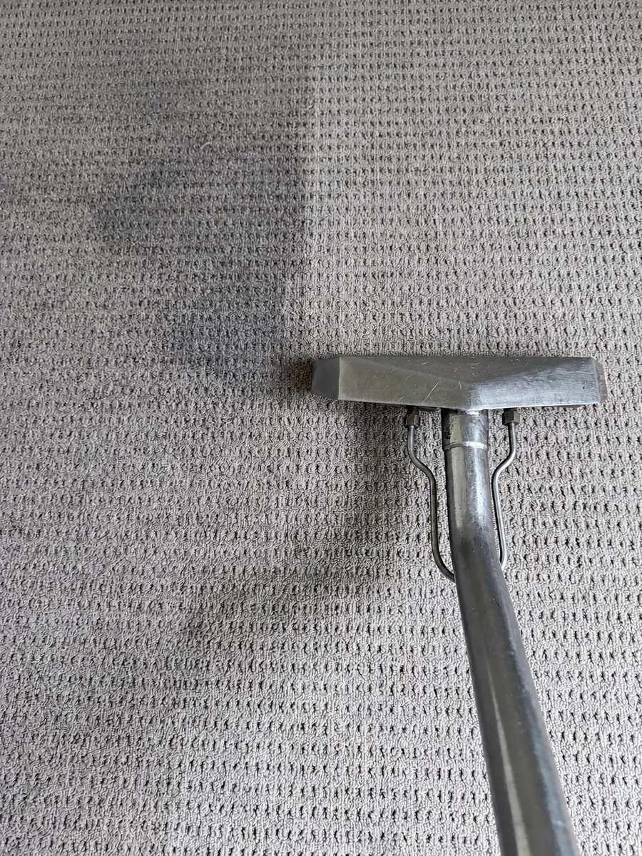 Carpet extraction wand resting on textured grey carpet during cleaning.