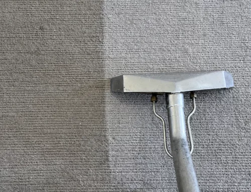 How Long Does Carpet Take to Dry After Steam Cleaning?